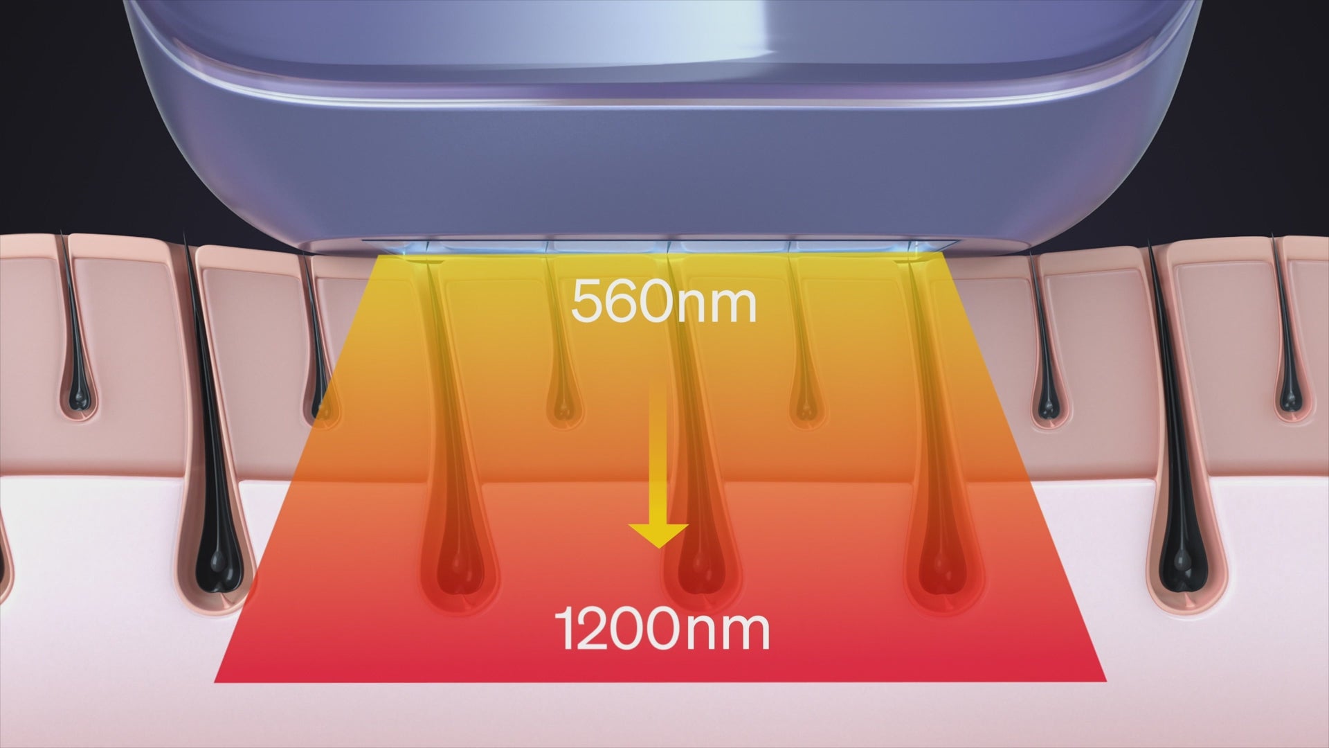 Încărcați videoclipul: 
